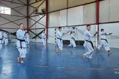 Stagiu-kata-Jean-Pierre-Fischer-10