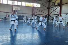 Stagiu-kata-Jean-Pierre-Fischer-3