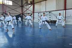 Stagiu-kata-Jean-Pierre-Fischer-6