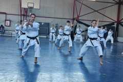 Stagiu-kata-Jean-Pierre-Fischer-9